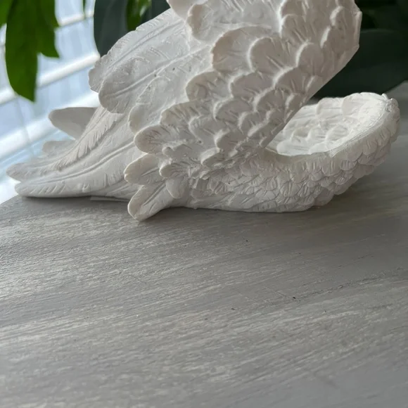 Angel Wings - Picture 5 of 7